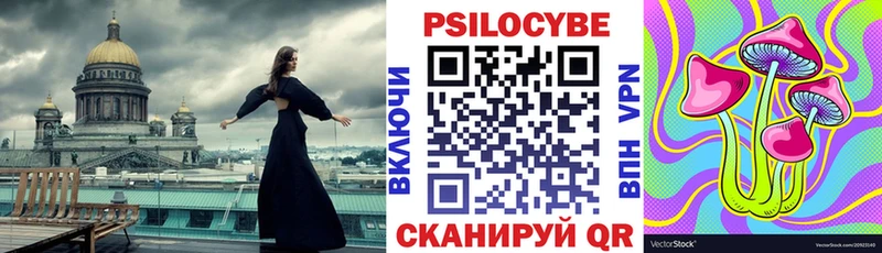 Псилоцибиновые грибы Cubensis  где продают наркотики  darknet какой сайт  Уржум 